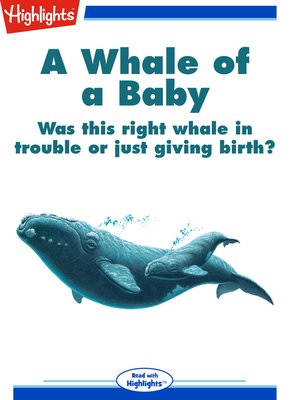 cover image of A Whale of a Baby